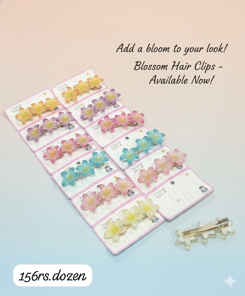 Korean Hair Clips (Pack of 12pcs)