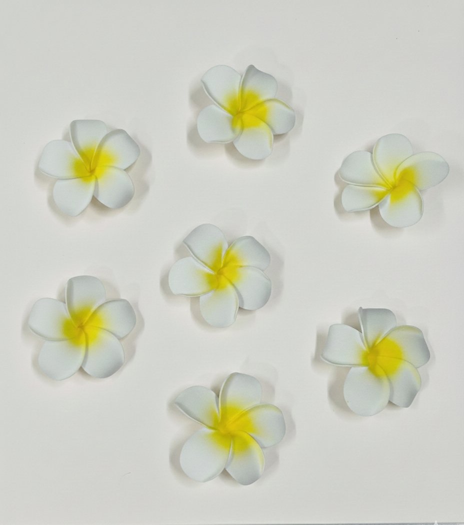 ELEGANT WHITE FLOWER HAIR CLIPS (PACK OF 12)